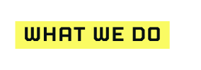 What We Do